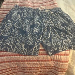 Chubbies swim trunks.  2xl